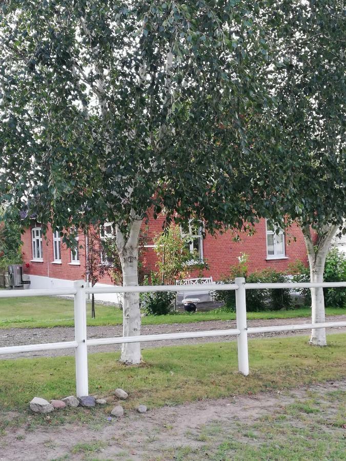Apartamento Tankefuld Living'S Horsefarm Svendborg Exterior foto